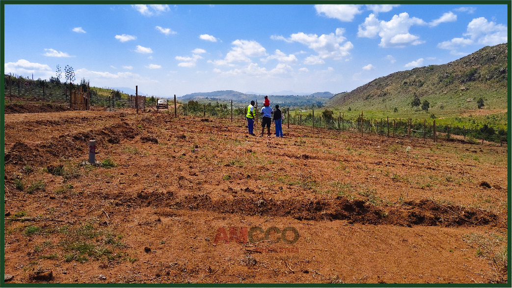 Affordable Plots in Kamangu | Phase V 